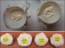 へそのゴマで作ったチーズが存在した!! 米・生物学者が展示