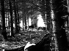 「秀才だったのに…」 2時間で30人の内臓が飛び散った「津山30人殺し事件」とは?
