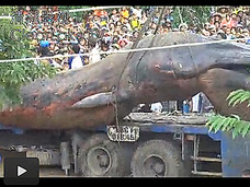 リアル・トレマーズ!! ベトナムの地底から謎の超巨大生物が発掘!!