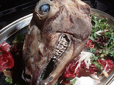 絶対に検索してはいけない、世界の最凶グロ珍味10選! 迷わず食えよ、食えばわかるさ!