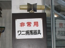 想像以上にマニアック! 意外と知らない『バナナワニ園』本気度