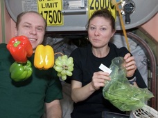 【朗報】宇宙空間で育てた野菜は安全だった! 人類移住の夢が一歩前進!!