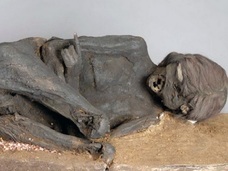 インカ時代の20代女性のミイラ、死因は宗教儀式の生け贄だった!? 500年前一体何があったのか?【最新研究報告】