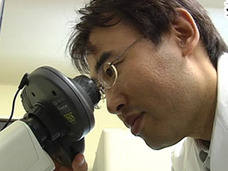 【髪神の降臨】薄毛が復活する細胞再生物質「バイオポリリン」酸を開発した日本人博士の功績がすごい!