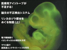 小保方さんバッシングに疑問の声 過度な個人攻撃に違和感
