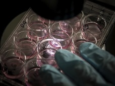 【STAP細胞】捏造疑惑だけが問題ではなかった! 「ソーカル事件」からわかる、学問界の不備とは?