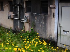 不動産屋に聞いた、事故物件のヤバい話! 「ミイラ、殺人、1千万…」あなたの家は大丈夫?