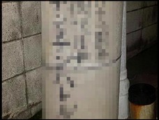 【スクープ】アソコが腫れる、謎の電柱!?
