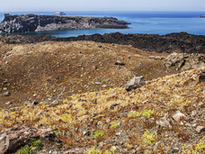 チリでM8.2の地震発生、日本でも大地震か? 学者が発見した規則「巨大地震の循環」とは?