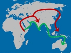 【最新研究】人類の「脱アフリカ」は定説より早かった!? 現代人は13万年前にヨーロッパに到着していた