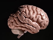 人間には無意識にウソを見抜ける能力がある!? 進化する嘘発見技術