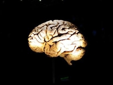 明晰夢で健康になる!? 自分の意志で夢の内容をコントロールできる装置が開発される(ドイツ研究)