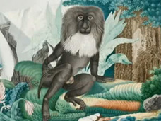 想像力だけで動物を描き続けた男 ― 死後評価の無名画家、アロイス・ツェトルの非現実的アート