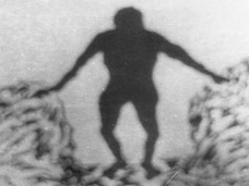 遺伝子解析が解き明かす人間型UMAの正体!! ~ロシアの女UMA「ザナ」の謎~
