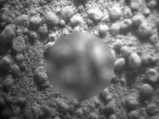 【驚愕】火星探査機が未知の生命体の“抜け殻”を撮影!? NASAの「キュリオシティ」が快挙か?