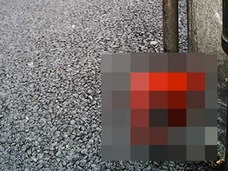 【スクープ】ハンドメイド神が宿った、意外なモノに驚愕 そのサイズにナニも立たない!?