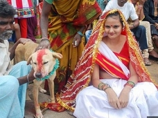 長老の教えで犬と結婚! 逆らえばレイプ死する長老支配社会、インド貧困部!