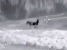 ISISメンバーにロバとの獣姦疑惑!? 米軍のドローンが捉えた“怪しい”映像が波紋呼ぶ