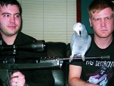 インコがリードボーカル!! 過激すぎるデスメタルバンド「Hatebeak」を君は知っているか?