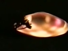 【動画】夕空を駆ける“火の玉”!? 南米でUFOが頻繁に出現する謎