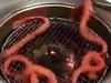 【動画】焼肉網で暴れまくるゲテモノ!! 韓国「ヌタウナギの焼肉」がグロい!