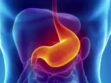 【特集】想像上の食事で体を騙す!? 「夢のダイエット薬、フェクサラミン」の開発なるか?