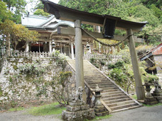 マジで死にかけるほどの「呪い」をお祓い!? パワースポットのラスボス「玉置神社」!!