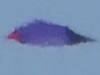 【動画】番組収録中に「紫色のUFO」出現!! 惑星間外交の交渉に来た?=ペルー