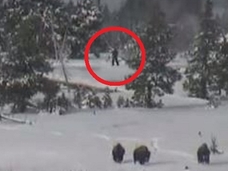 ビッグフット、今度はアメリカに現る!? 公園を散歩する4体の謎の巨人!