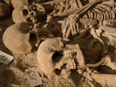整然と並ぶ200体以上の骸骨が出土 500年以上前の大量死の歴史が明らかに?=パリ