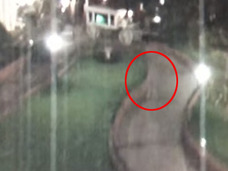 【心霊動画】深夜のディズニーランドを徘徊する不思議な人影!! ウォルト・ディズニーか!?