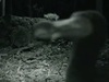 【動画】絶滅したはずの「ドードー鳥」が生きていた!? 350年ぶりに捉えられた衝撃の姿!!