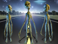 「グレイは非常に前向きな性格」秋山眞人インタビュー! 地球に来ている宇宙人について語る!