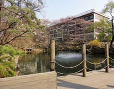 もはや高級ブランド品だけじゃない! “パクリ大国”韓国で、名門ソウル大学を騙る詐欺が横行中