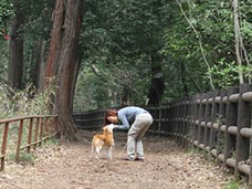異種間の絆を証明!? 人と犬 見つめ合いと触れ合いで「愛情ホルモン」増加