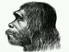 【骨は語る】 ネアンデルタール人は、我が子を切断して食べていた!?