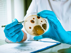 抗生物質が効かない赤痢菌が海外から流入、ゴールデンウィーク後 深刻な事態に!?