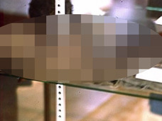 【世界が注目】「ロズウェル事件」の宇宙人証拠写真がついに公開!! 人類史を覆す大発見か!?