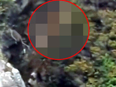 先住民の遺跡か、宇宙人の仕業か!? 岩肌に浮かび上がった巨大な“顔面”!!=カナダ