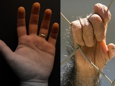 【衝撃】人間の手は、チンパンジーの手よりも原始的で未発達だった!!(最新研究)