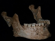 アレクサンドロス大王の父親、フィリッポス2世の遺骨発見!! 史実を覆す発見か!?=ギリシャ