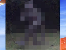 2足歩行する「トカゲ男」が写真と動画のダブルでおさえられる!! やはり実在した伝説のUMA!