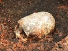 エイリアンの頭蓋骨か、部族の奇習か!? 長くて尖った頭蓋骨がロシアの遺跡で発見される!