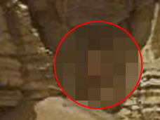 生きた宇宙ガニ? エイリアンの幼生? 火星で何本もの足が生えた“何か”が激写される!!