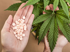 大麻は「ダメ、ゼッタイ」じゃない?世界的に進む規制緩和 日本でもサプリメントが合法に?