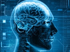 「半分以下の脳」しかない男、なぜ不自由なく生きられるのか? 人体の奇跡!!