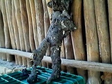 墜落UFOから宇宙人の黒焦げ遺体も!? タイで目撃された「火の玉」を巡る謎