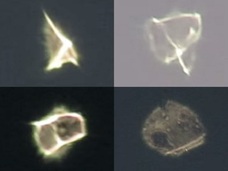 【衝撃動画】次々と姿を変える「変形発光体UFO」が、あまりにも不思議すぎる!!=NY上空