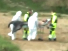 【衝撃映像】人魚、謎の組織に連れ去られる=ポーランド