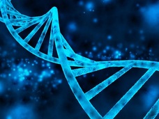 【驚異の遺伝子学】世界初、死んだ胎児が父親に!! 謎の他者細胞「マイクロキメリズム」の怪